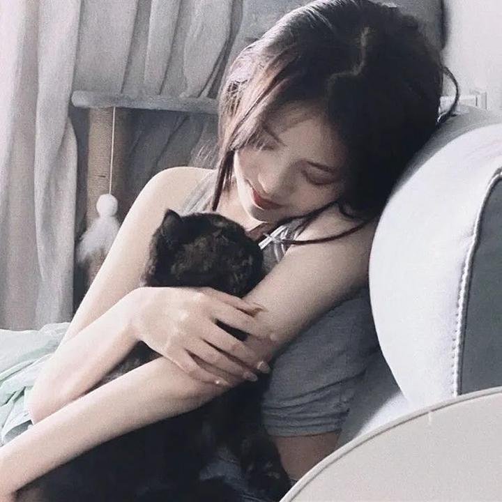 超人特攻与钢铁人 高清封面